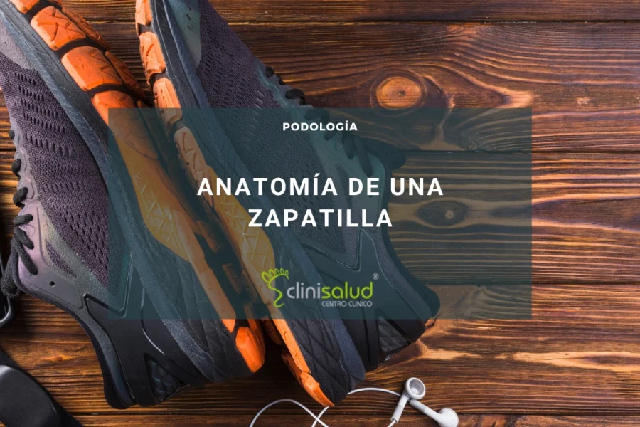 Anatomía de una zapatilla