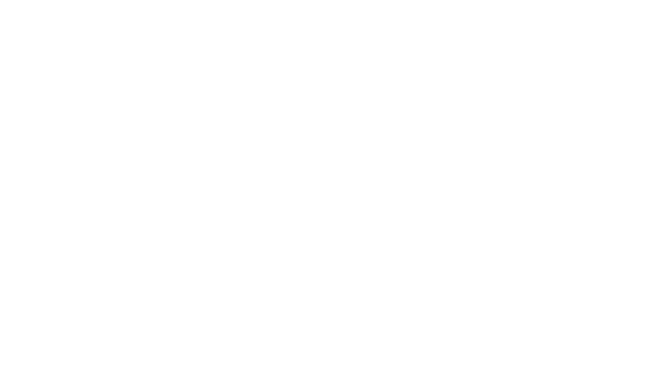 Pingüino Frodo Faunia Clinisalud