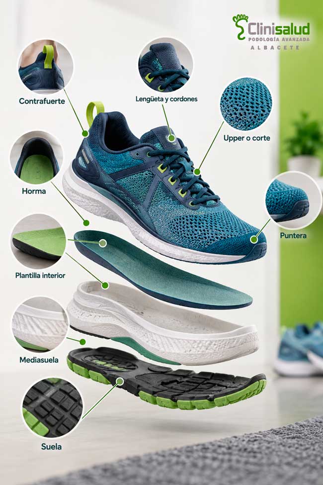 Infografía con las partes de una zapatilla deportiva: contrafuerte, horma, plantilla, mediasuela, suela, upper, puntera, lengüeta y cordones