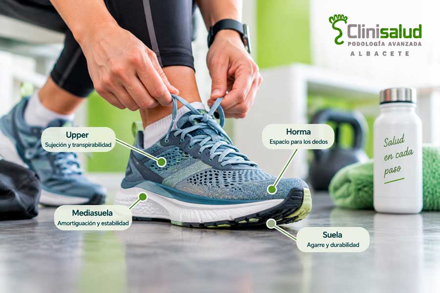 Zapatilla deportiva con indicaciones sobre upper, horma, mediasuela y suela